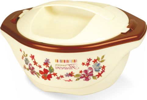 FloraNest Insulated Plastic Casserole